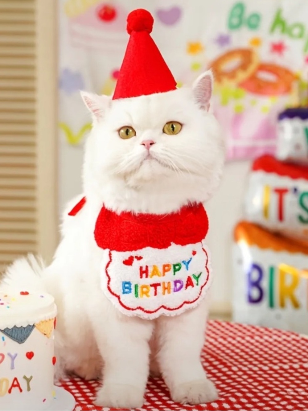 Birthday Hat and Bib Set Small Cat Dog NEW